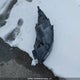 KNDJN2A25G7304735 2016 Kia Soul Lx/Lx+ auction photo thumbnail 11