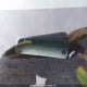 3FAHP0HA4CR343349 2012 Ford Fusion Se auction photo thumbnail 9