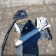 1HGCV1F37LA800218 2020 Honda Accord Sport auction photo thumbnail 11