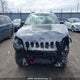 1C4PJMBX0MD173173 2021 Jeep Cherokee Trailhawk auction photo thumbnail 12