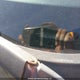 JM1BL1SF5A1131086 2010 Mazda Mazda3 auction photo thumbnail 18