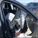 JM1BPBDY7R1653531 2024 Mazda Mazda3 Gt W/Turbo auction photo thumbnail 5