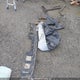 3KPF34AD6RE839598 2024 Kia Forte Ex/Ex+/Ex Premium auction photo thumbnail 11