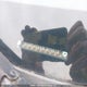 5J6RE48588L809928 2008 Honda Cr-V Ex auction photo thumbnail 18
