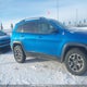 1C4PJMBX0LD568002 2020 Jeep Cherokee Trailhawk auction photo thumbnail 13