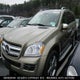 4JGBF71E19A448504 2009 Mercedes-Benz Gl450 4 Matic auction photo thumbnail 2