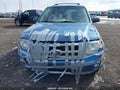 Photo 6 of 12 — 2010 Ford Escape