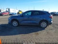 Photo 14 of 16 — 2025 Ford Escape