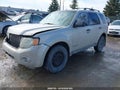 Photo 2 of 10 — 2008 Ford Escape