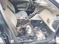 Photo 5 of 16 — 2012 Chevrolet Equinox