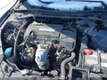 Photo 10 of 12 — 2014 Honda Accord