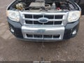 Photo 13 of 14 — 2009 Ford Escape