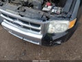 Photo 6 of 14 — 2009 Ford Escape