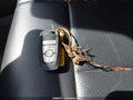 Photo 11 of 18 — 2024 Ford Expedition