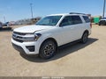 Photo 2 of 18 — 2024 Ford Expedition