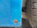 Photo 17 of 17 — 2016 Dodge Dart