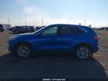 Photo 14 of 16 — 2020 Ford Escape