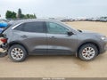 Photo 13 of 16 — 2024 Ford Escape