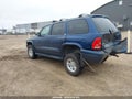 2002 Dodge Durango — photo 3 of 16 | VIN 1B4HS48N22F155876