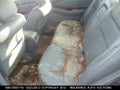 Photo 8 of 10 — 1999 Acura TL