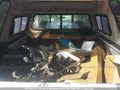 Photo 7 of 10 — 1996 Ford F-150 Lightning