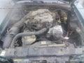 Photo 10 of 10 — 2000 Ford Mustang