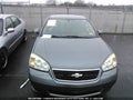 2006 Chevrolet Malibu Limited — photo 6 of 10 | VIN 1G1ZT51896F203483