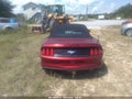 Photo 14 of 14 — 2016 Ford Mustang
