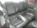 2008 Ford Mustang — photo 8 of 11 | VIN 1ZVHT82H985132424