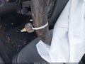 2012 Chevrolet Impala — photo 11 of 11 | VIN 2G1WG5E31C1275948