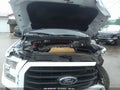 Photo 10 of 10 — 2017 Ford F-150