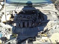 Photo 10 of 11 — 2014 Ford Focus