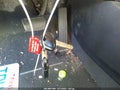 Photo 11 of 16 — 2016 Hyundai Elantra