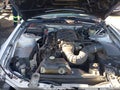 2006 Ford Mustang — photo 10 of 17 | VIN 1ZVHT82H965218149