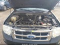 Photo 10 of 11 — 2010 Ford Escape