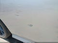 2022 Dodge Charger — photo 17 of 17 | VIN 2C3CDXGJ3NH181532