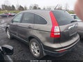 2010 Honda CR-V — photo 3 of 11 | VIN 5J6RE3H73AL044466