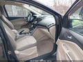 Photo 5 of 11 — 2013 Ford Escape