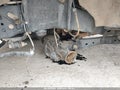 Photo 20 of 20 — 2021 Ford F-250
