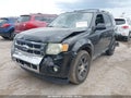 Photo 2 of 11 — 2010 Ford Escape