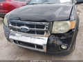 Photo 6 of 11 — 2010 Ford Escape