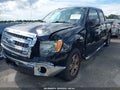 2013 Ford F-150 — photo 2 of 20 | VIN 1FTFW1CT5DFD76930