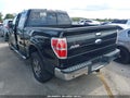 2013 Ford F-150 — photo 3 of 20 | VIN 1FTFW1CT5DFD76930