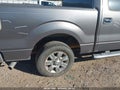 Photo 21 of 22 — 2010 Ford F-150