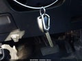 Photo 11 of 17 — 2005 Honda CR-V