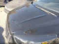 2018 Ford Escape — photo 6 of 17 | VIN 1FMCU0GD5JUD18440