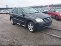 Photo 1 of 11 — 2007 Mercedes-Benz ML-Class