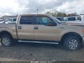 Photo 13 of 19 — 2013 Ford F-150