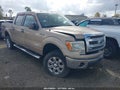 Photo 1 of 19 — 2013 Ford F-150