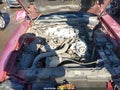2004 Ford Mustang — photo 10 of 16 | VIN 1FAFP44684F175598